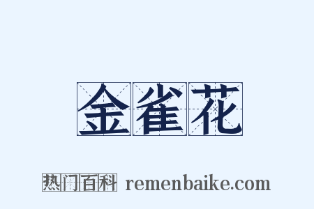 金雀花是什么意思的图片